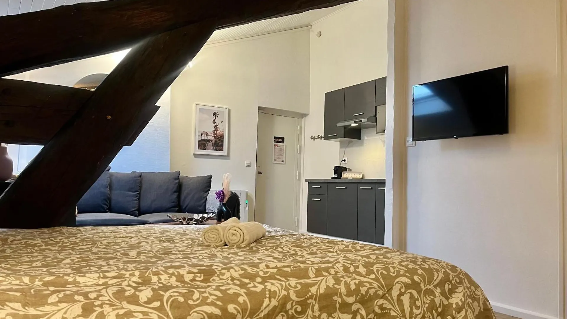Suite Polka Lyon
